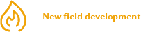 New field development